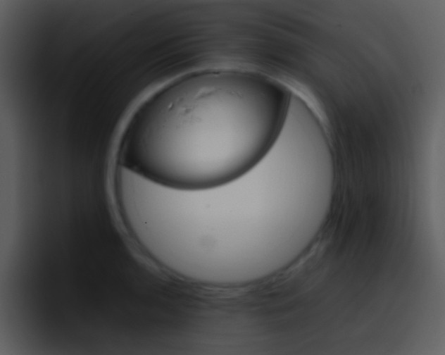 X0000096981136200802080854