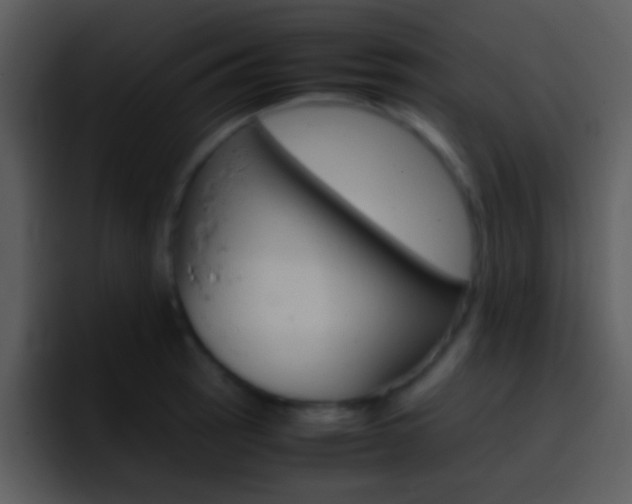 X0000096981137200802080854