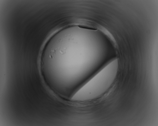 X0000096981138200802080854