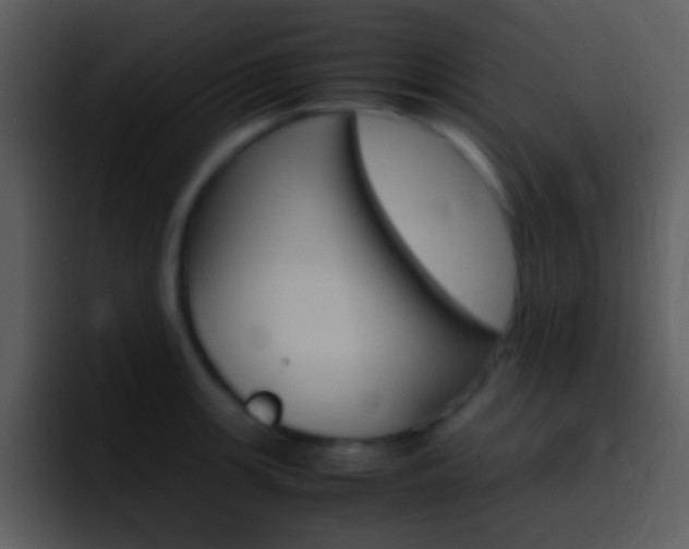 X0000096981139200802080854
