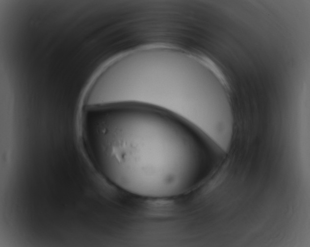 X0000096981140200802080854