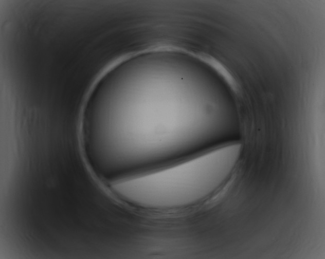 X0000096981142200802080854