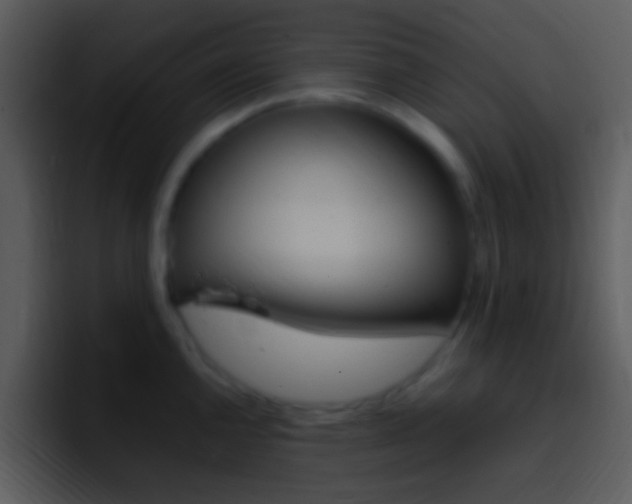 X0000096981144200802080854