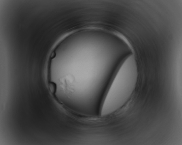 X0000096981147200802080854