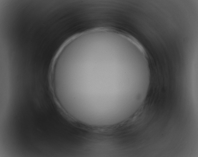 X0000096981148200802080854