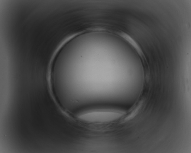 X0000096981149200802080854