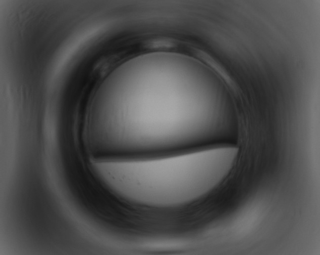 X0000096981151200802080854