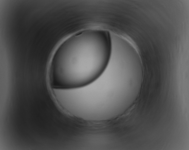 X0000096981152200802080854