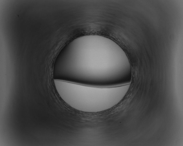 X0000096981153200802080854