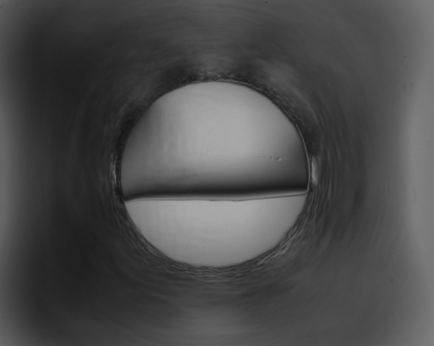 X0000096981155200802080853