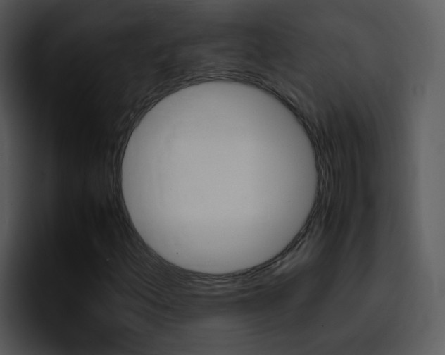 X0000096981156200802080853