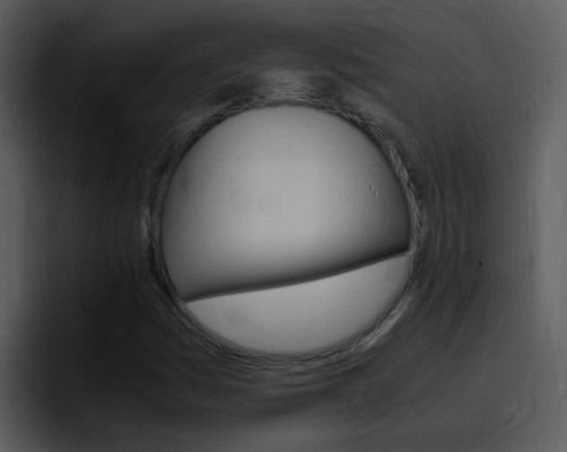 X0000096981161200802080853