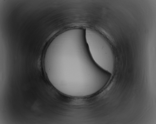 X0000096981162200802080853