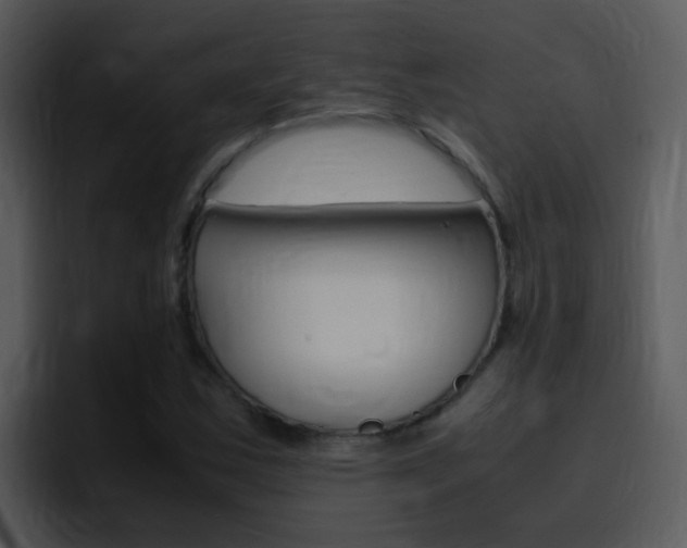 X0000096981163200802080853