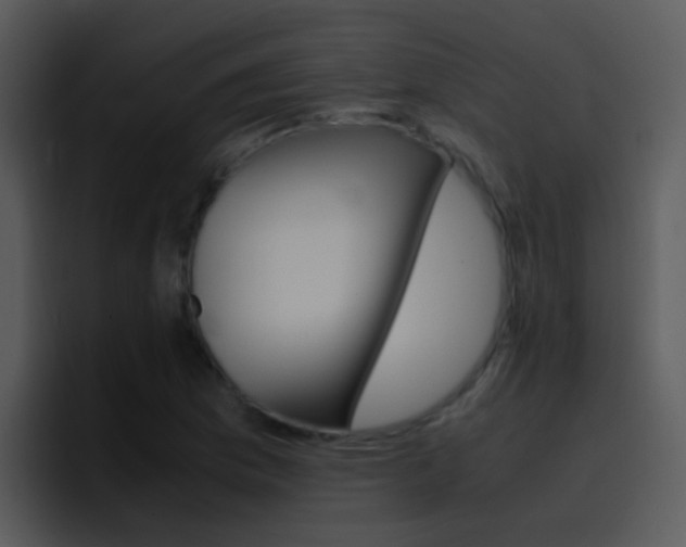 X0000096981169200802080853