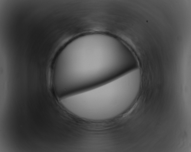 X0000096981171200802080853