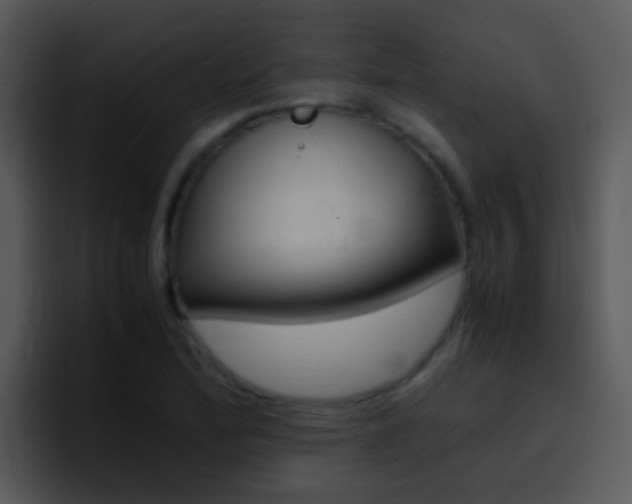 X0000096981172200802080853