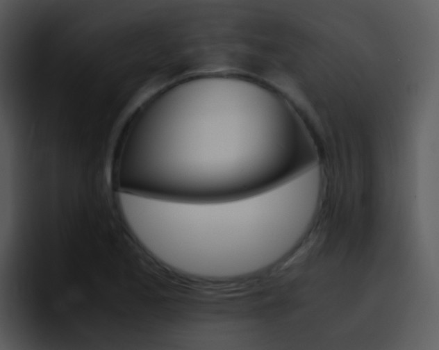 X0000096981173200802080853