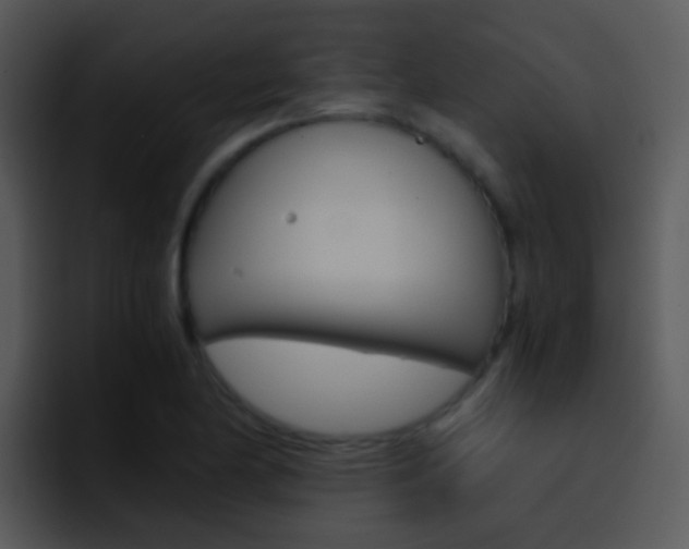 X0000096981174200802080853
