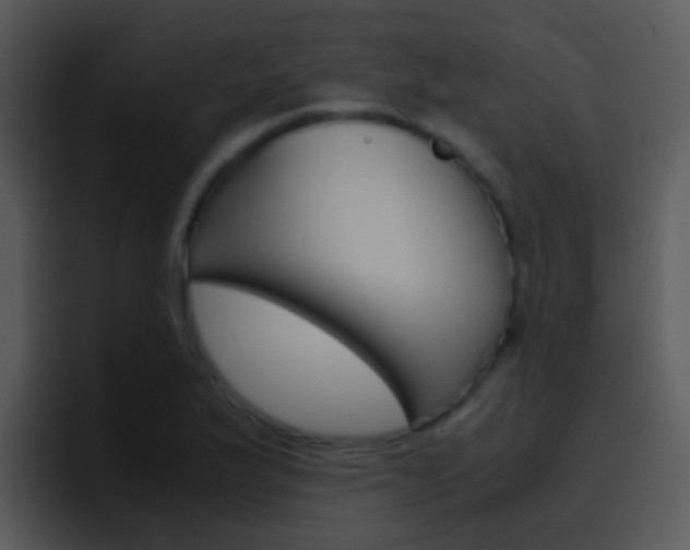 X0000096981175200802080853