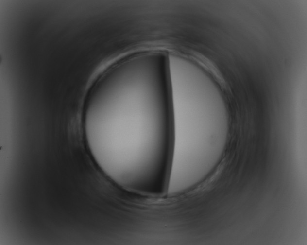 X0000096981176200802080853