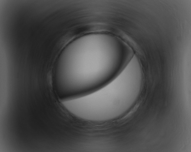 X0000096981177200802080853
