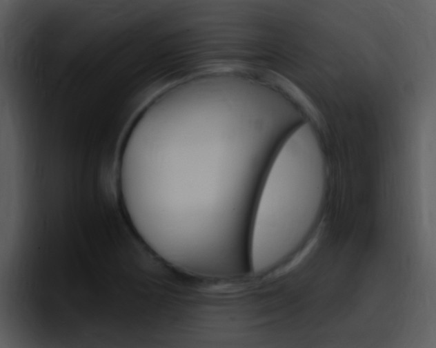 X0000096981178200802080853