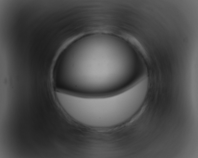 X0000096981184200802080853