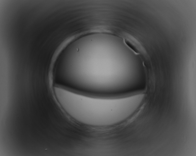 X0000096981188200802080853