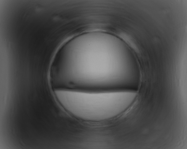 X0000096981189200802080853