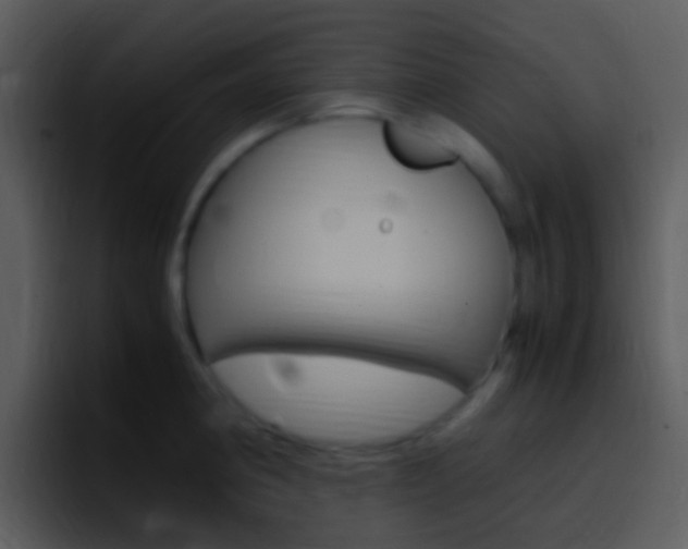 X0000096981190200802080853