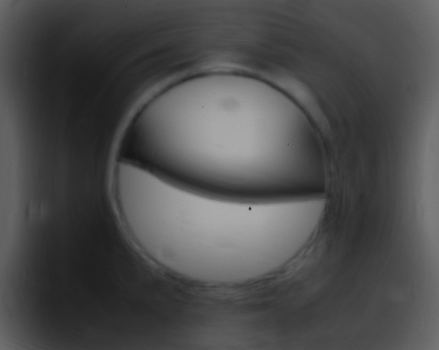 X0000096981191200802080853