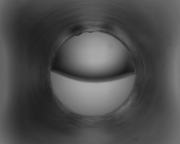 X0000096981193200802080853