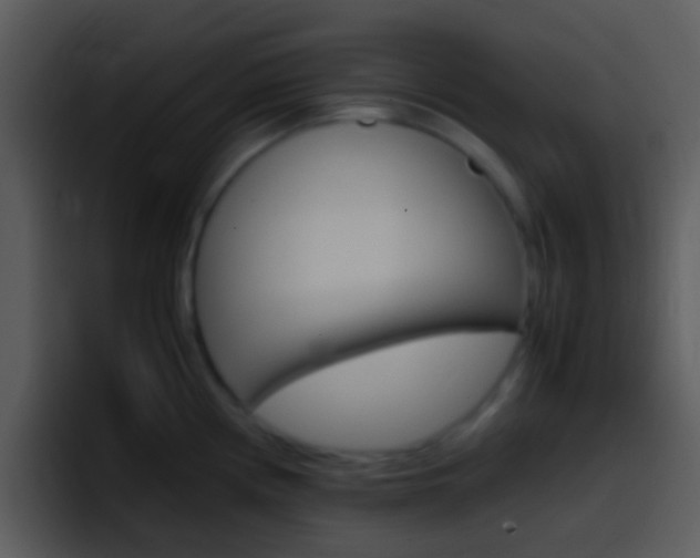 X0000096981194200802080853