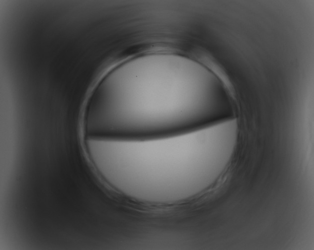 X0000096981195200802080853