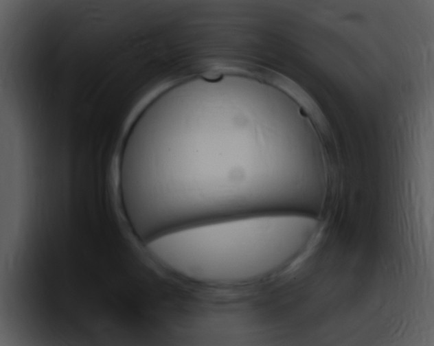 X0000096981198200802080853
