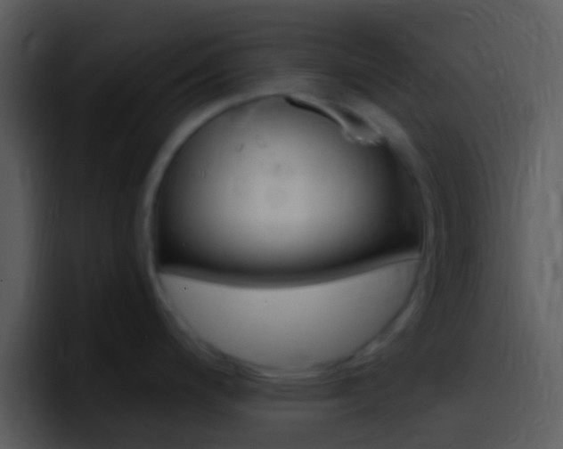 X0000096981200200802080853