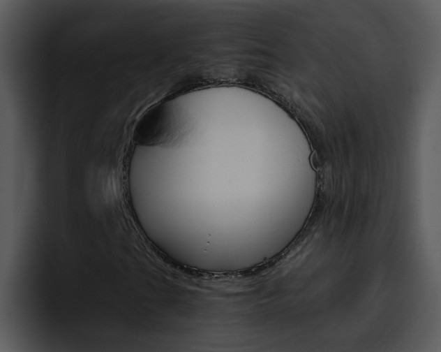 X0000096981201200802080852