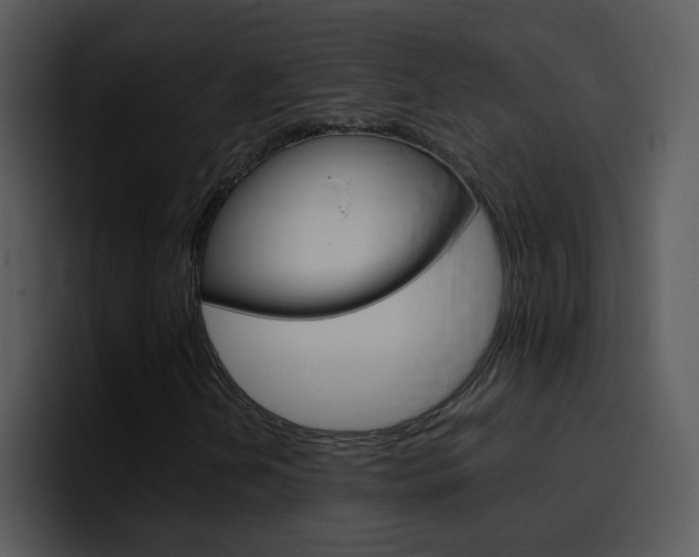X0000096981202200802080852