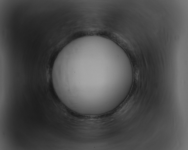 X0000096981204200802080852