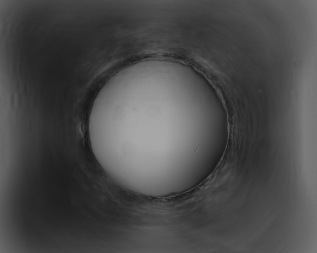 X0000096981206200802080852