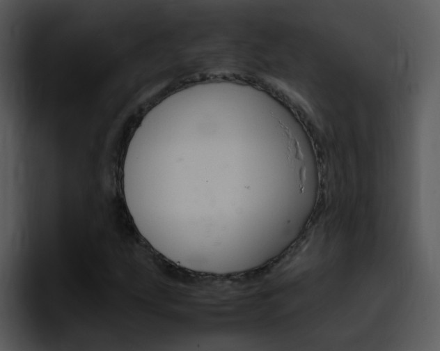 X0000096981207200802080852