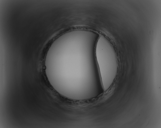 X0000096981208200802080852