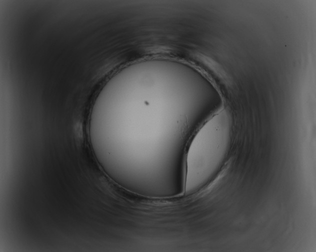 X0000096981209200802080852