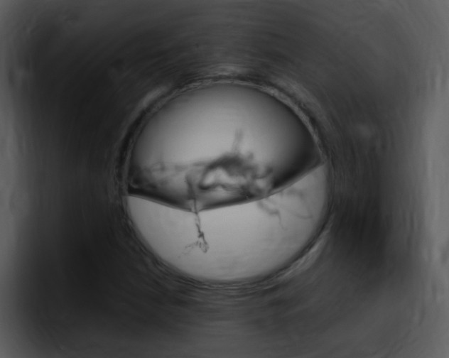 X0000096981210200802080852