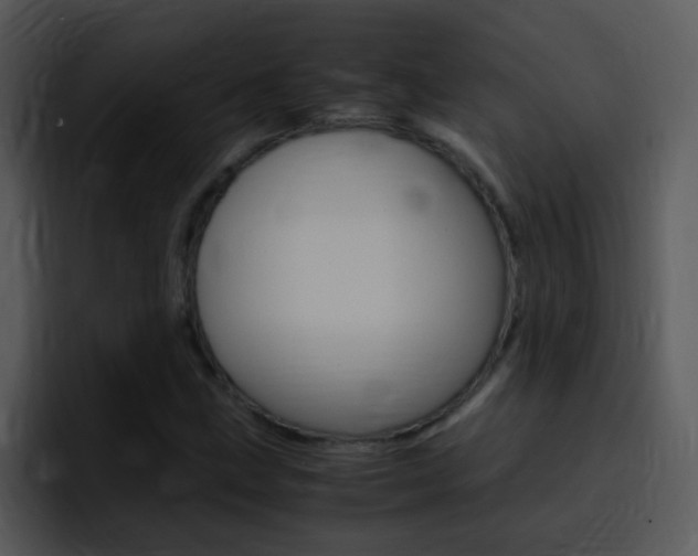 X0000096981211200802080852