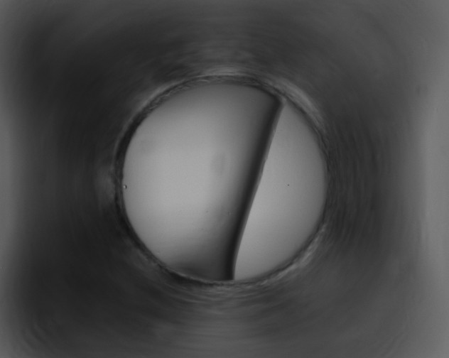 X0000096981212200802080852