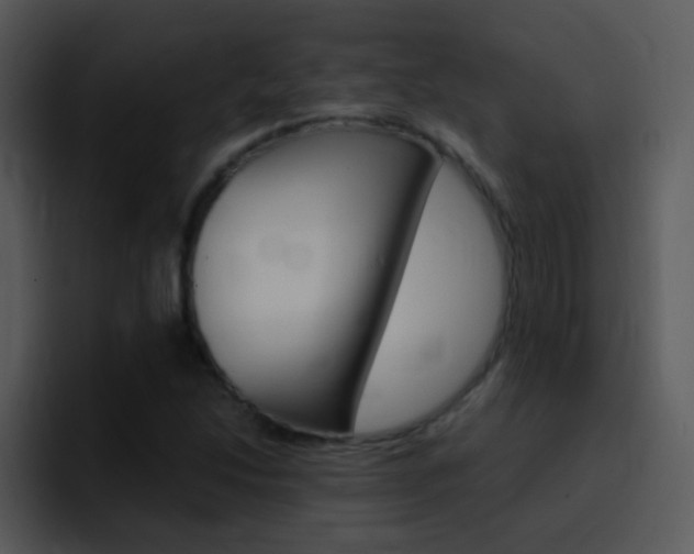 X0000096981214200802080852