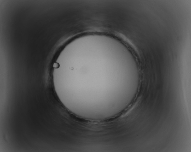 X0000096981215200802080852
