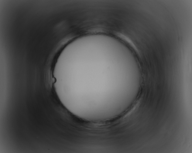 X0000096981219200802080853